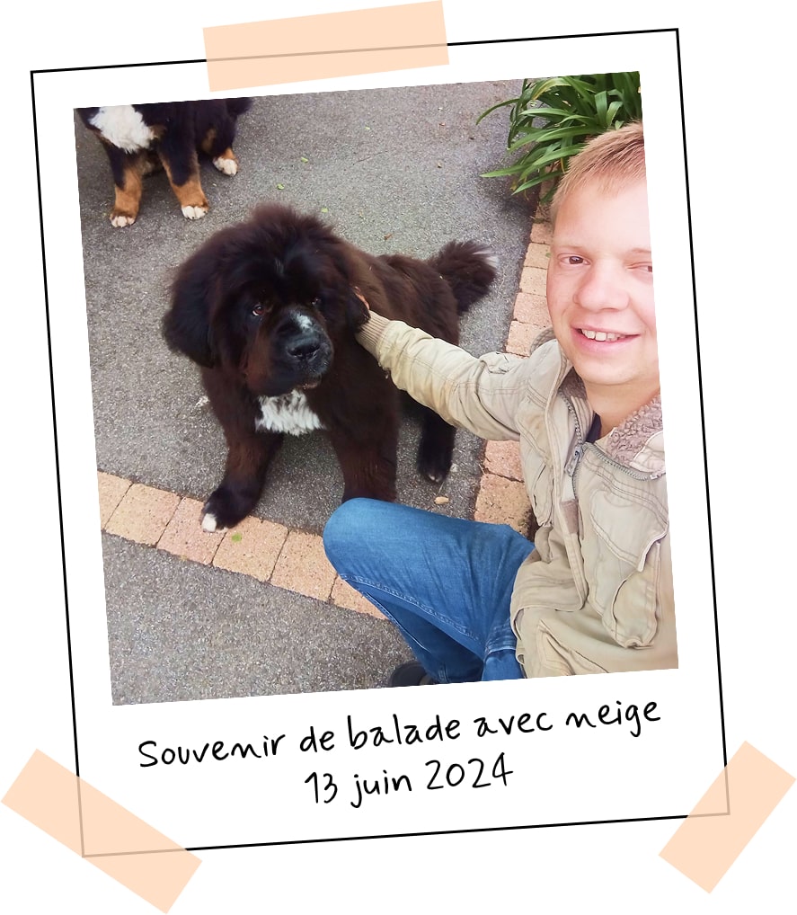romain pension canine plouguerneau sainte anne